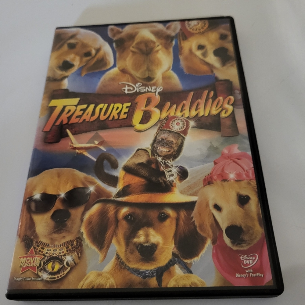 Treasure Buddies on DVD